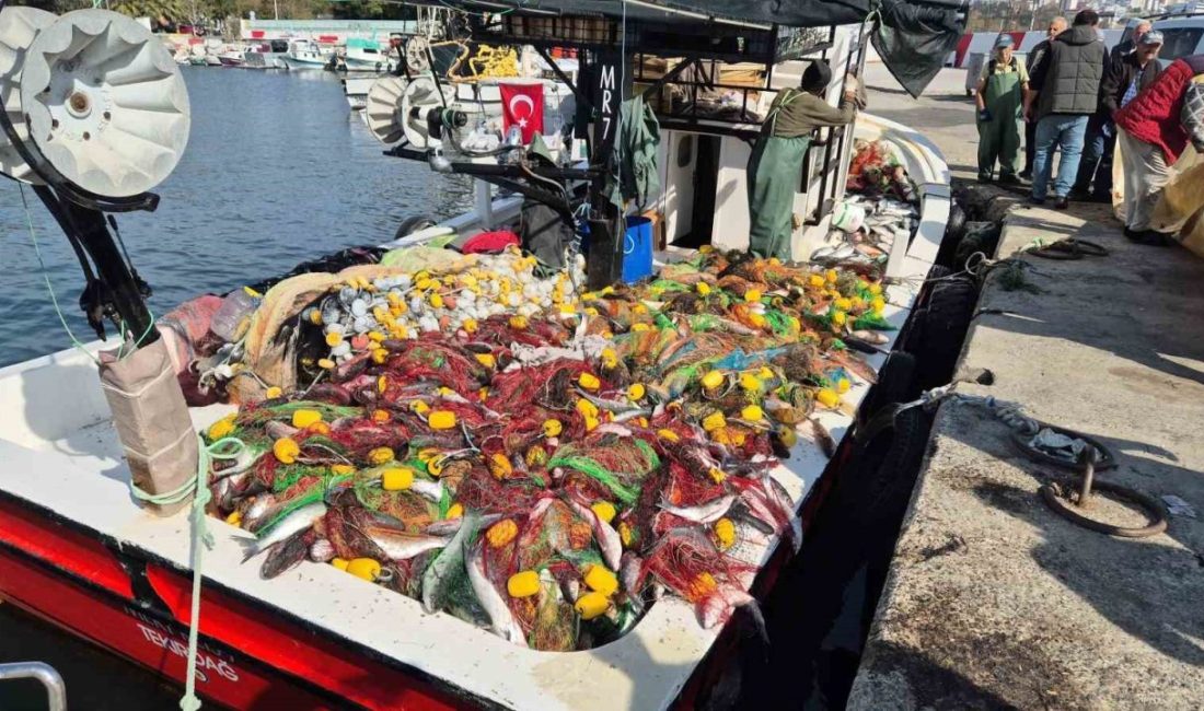 Tekirdağ’ın Süleymanpaşa ilçesinde Marmara Denizi’ne açılan balıkçılar, yaklaşık 1,5 ton