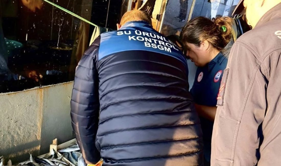 Mersin’de deniz ekosisteminin korunması, balık stoklarının sürdürülebilirliğinin sağlanması ve yasa