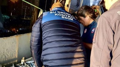 Mersin’de deniz ekosisteminin korunması, balık stoklarının sürdürülebilirliğinin sağlanması ve yasa