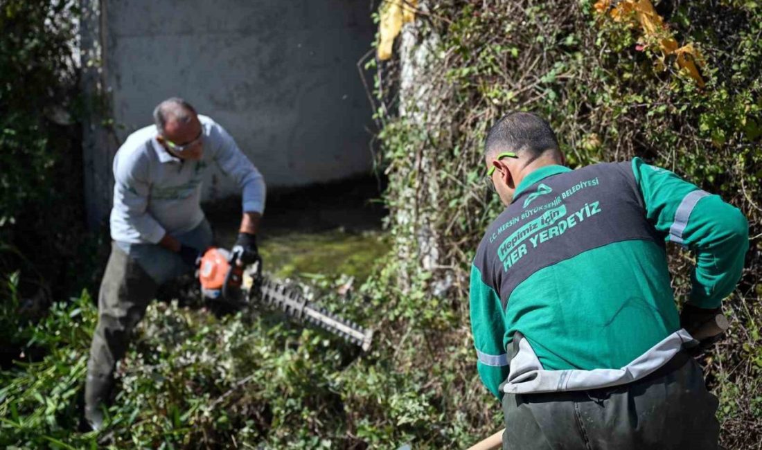 Mersin Büyükşehir Belediyesi, halk sağlığını korumak ve zararlı canlılarla mücadele