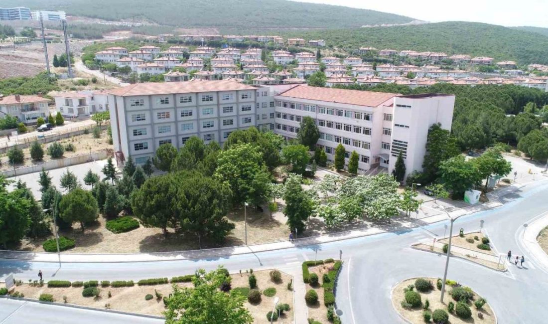Muğla Sıtkı Koçman Üniversitesi Yabancı Diller Yüksekokulu, ÖSYM eşdeğerliği bulunan