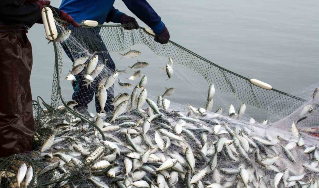 Muğla’da Eylül ayında genel ticaret sistemine göre 146 milyon 800