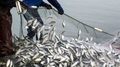 Muğla’da Eylül ayında genel ticaret sistemine göre 146 milyon 800