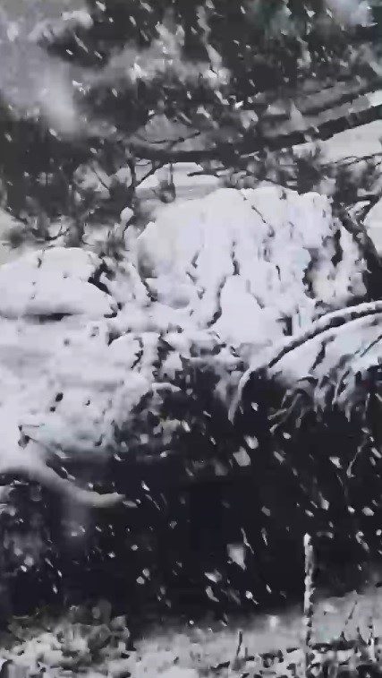 Muğla’nın Kavaklıdere ilçesinde yüksek kesimlerde sezonun ilk kar yağışı görüldü.