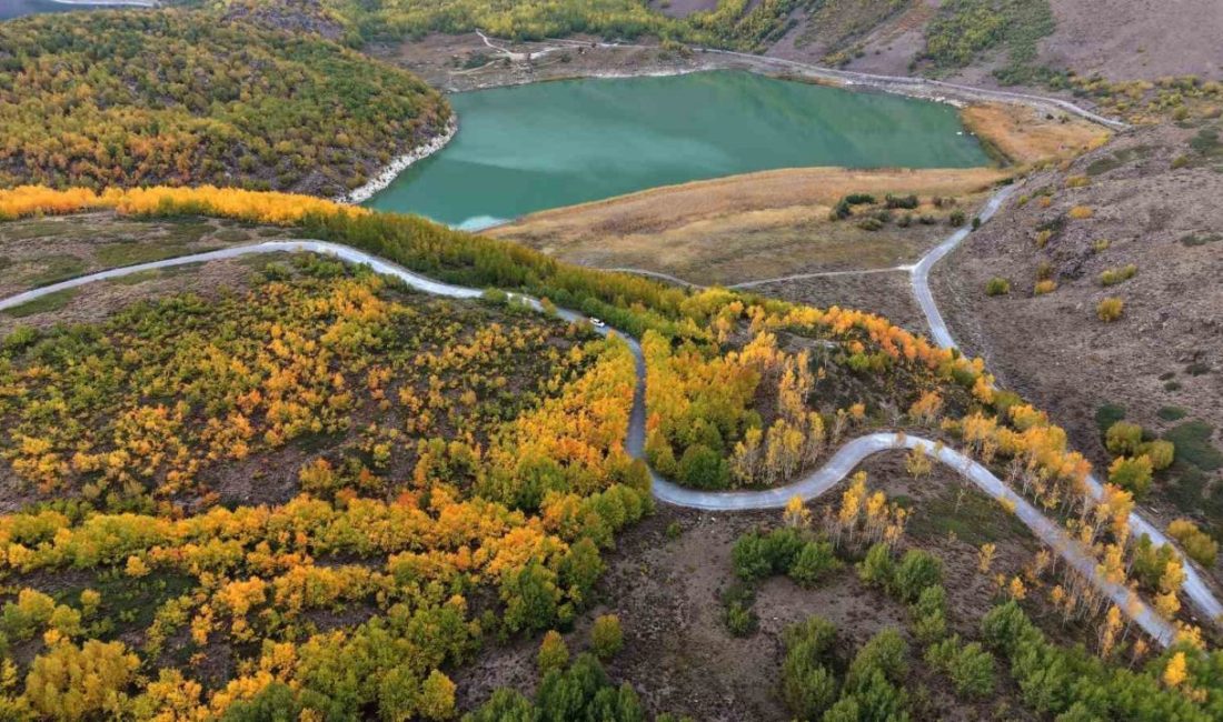Bitlis’in Ahlat, Güroymak ve Tatvan ilçeleri sınırlarında yer alan Nemrut