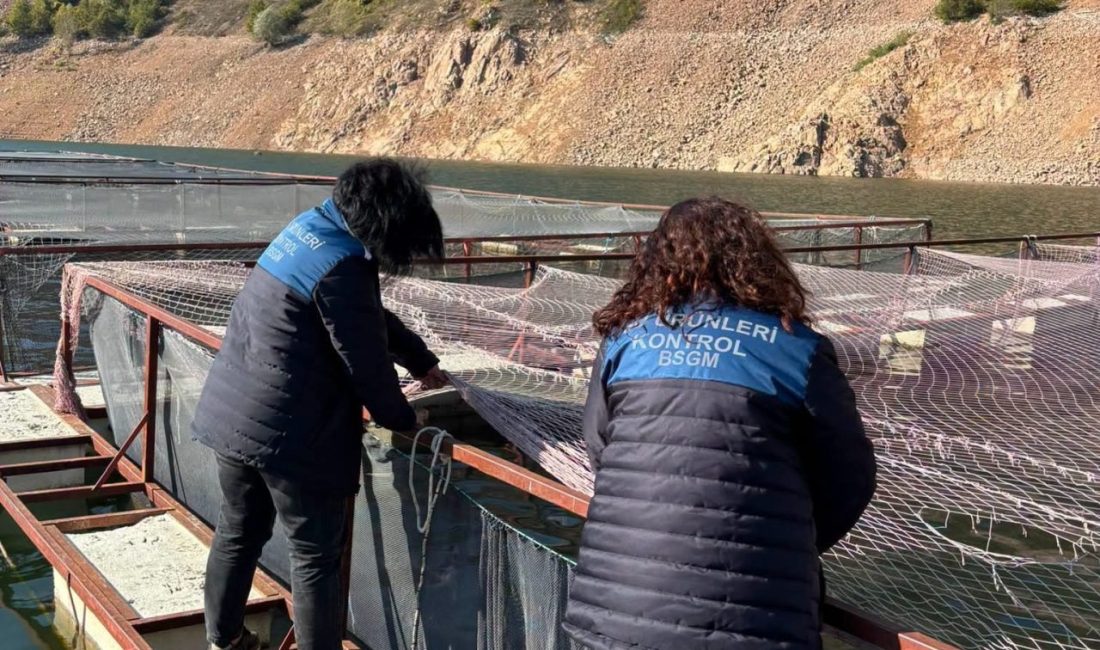 Ordu’nun Mesudiye ilçesindeki Topçam Baraj Gölü’nde kafeslerde alabalık üretimi yapan