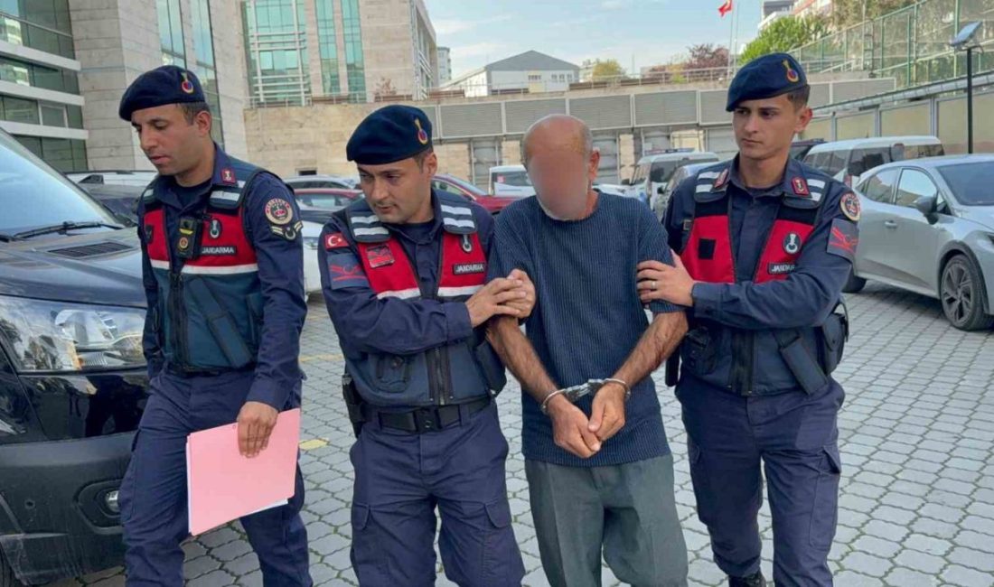 Samsun’un Atakum ilçesinde Orman İşletme Şefliğine ait orman malzemelerini gece