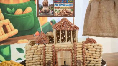 Osmaniye’de bu yıl 3’üncüsü düzenlenen Osmaniye Yer Fıstığı Festivali kapsamında