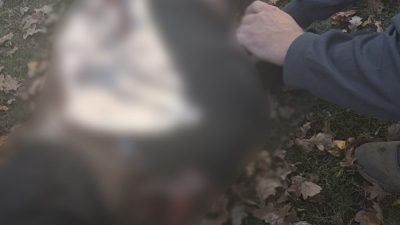 Rusya’nın Ukrayna’da bir parka düzenlediği İHA saldırısında 3’ü çocuk olmak