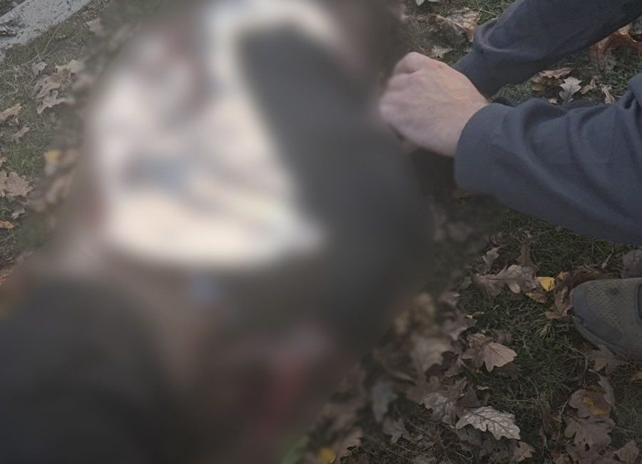 Rusya’nın Ukrayna’da bir parka düzenlediği İHA saldırısında 3’ü çocuk olmak