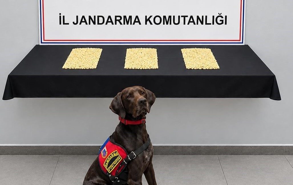 Şanlıurfa’nın Eyyübiye ilçesinde düzenlenen operasyonda 2 bin 970 Captagon hap