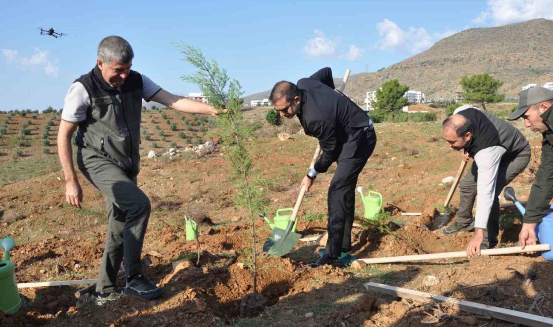 Mersin’in Silifke ilçesinde, 2025 yılında çıkan yangında zarar gören ’Şehit