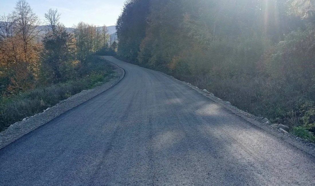 Sinop’un Ayancık ilçesinde Kuşlarbaşı ile Erikli köyü arasındaki grup yolu
