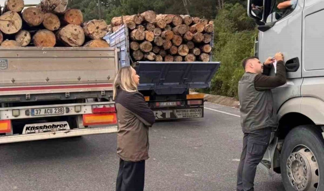 Sinop Orman Bölge Müdürlüğü’ne bağlı Gerze Orman İşletme Müdürlüğü ekipleri,