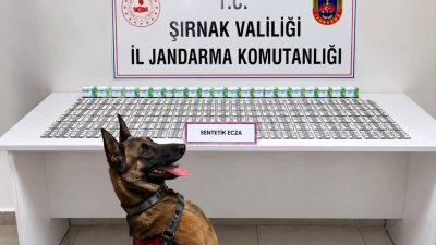 Şırnak’ta son bir haftada çeşitli suçlardan aranan 49 şahıs yakalanırken,