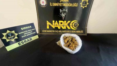 Şırnak’ta son bir haftada gerçekleştirilen asayiş ve narkotik operasyonlarında çok