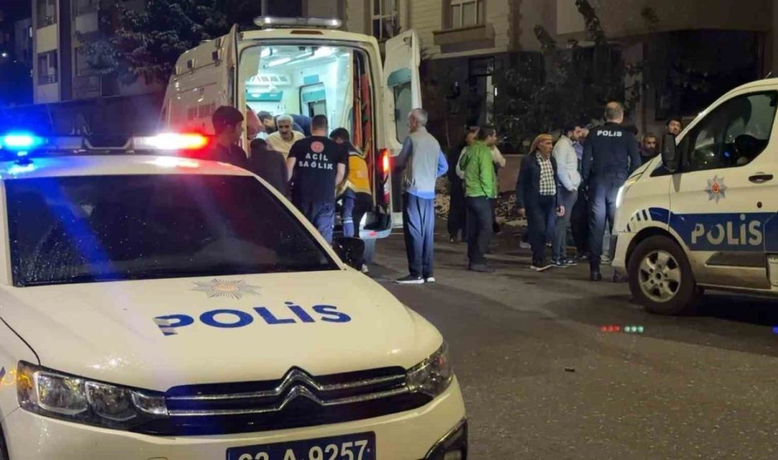 Şanlıurfa’nın Siverek ilçesinde husumetli iki aile arasında çıkan silah, taş