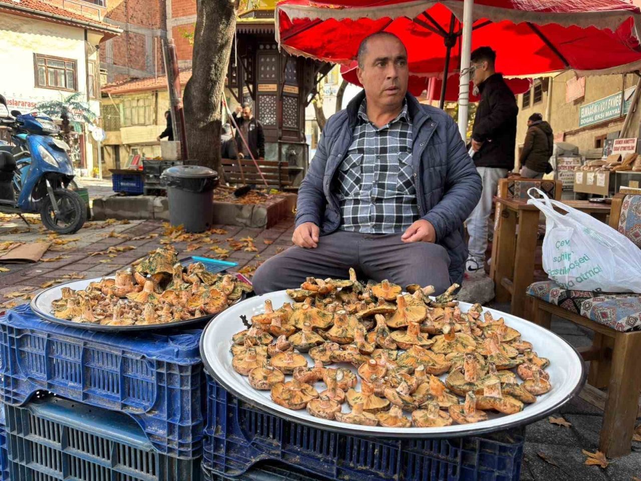 Kütahya’nın Tavşanlı ilçesinde sonbahar yağmurlarının ardından ormanlarda boy gösteren dağ