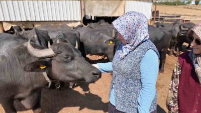Tekirdağ’ın Süleymanpaşa ilçesine bağlı Karacakılavuz Mahallesi’nde Nigar Turan ve Emine
