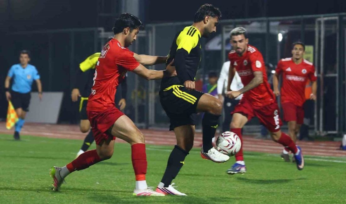 TFF 2. Lig Beyaz Grup 8. hafta maçında Aliağa FK,