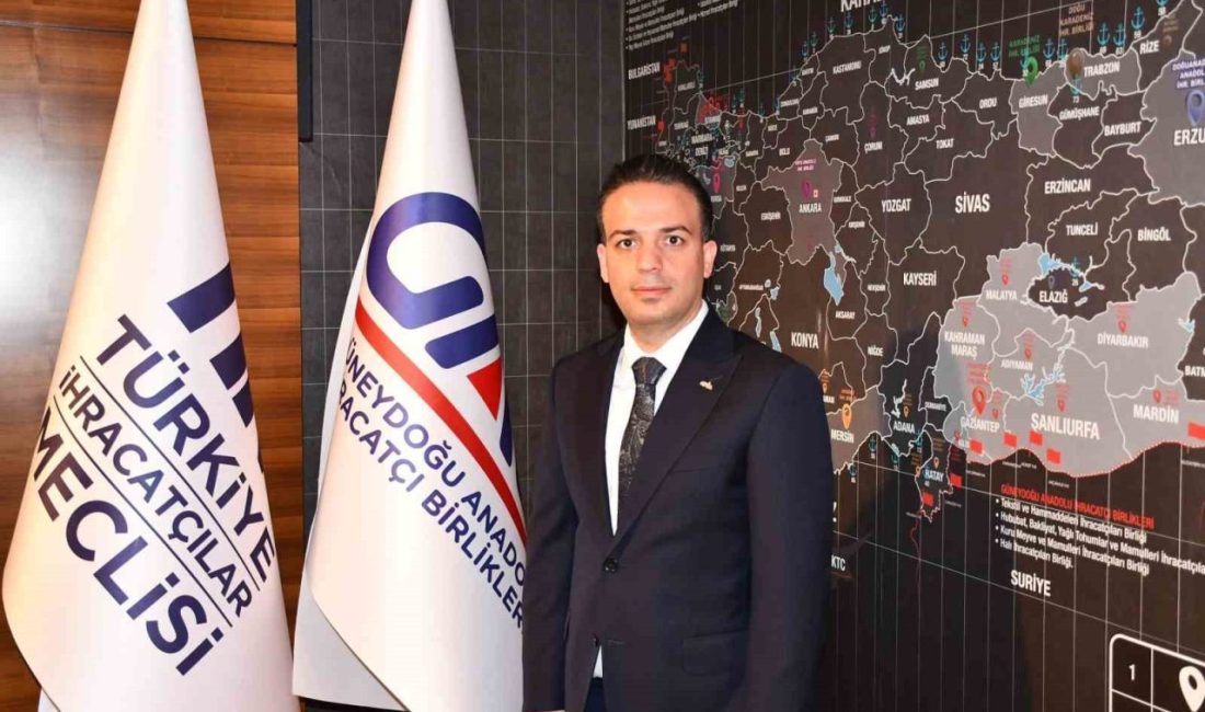 Türkiye İhracatçılar Meclisi (TİM) Halı Sektör Kurulu Başkanı İskender Kaplan,