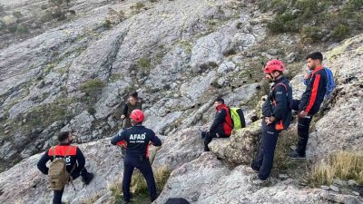 Tunceli’de sarp kayalıklarda günlerdir mahsur kalan keçiler, AFAD ekiplerinin çalışmasıyla