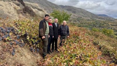 Erzincan’ın Üzümlü ilçesinde Kaymakam Hacı Osman Hökelekli, Karakaya köyünde üzüm