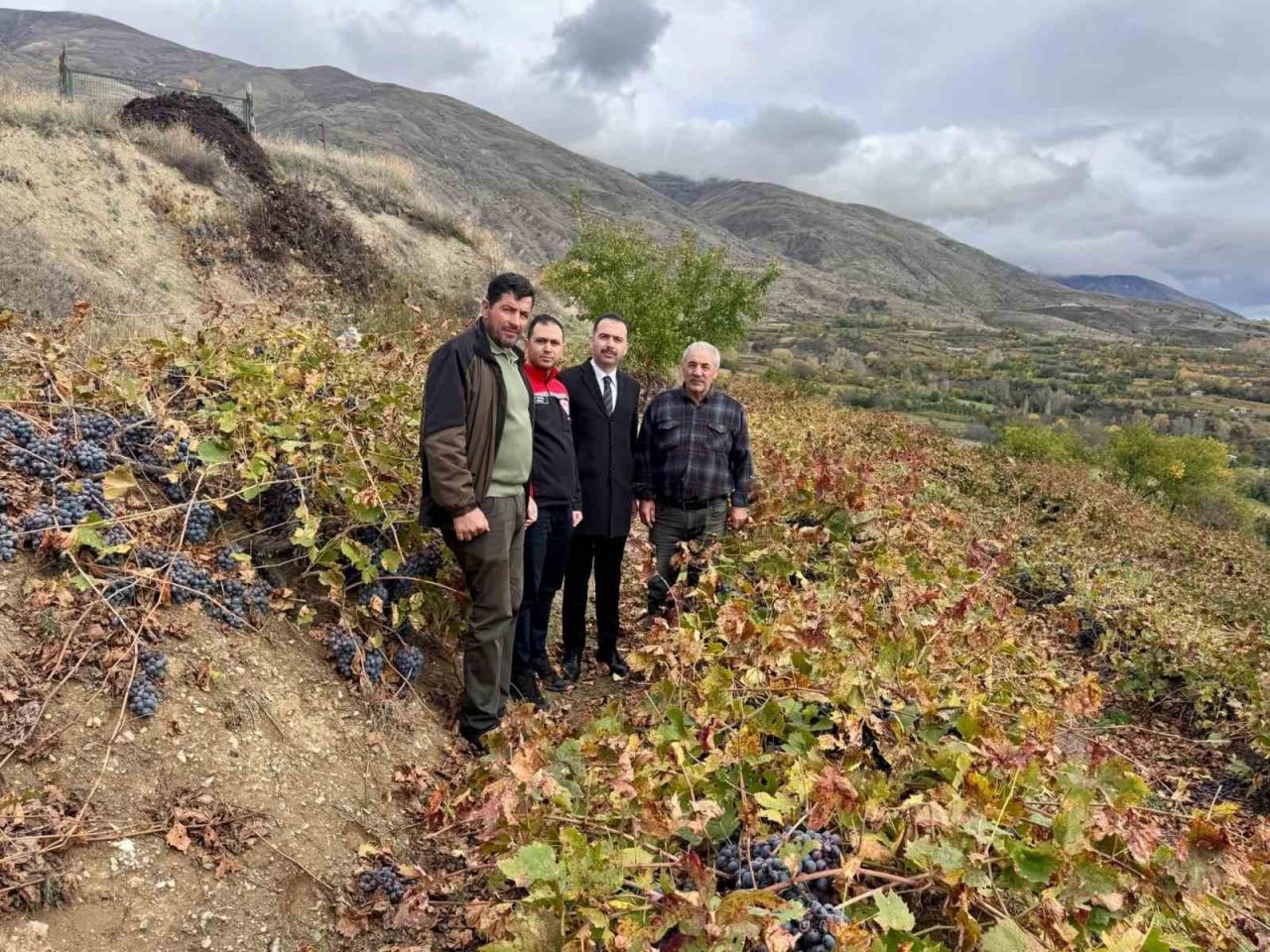 Erzincan’ın Üzümlü ilçesinde Kaymakam Hacı Osman Hökelekli, Karakaya köyünde üzüm