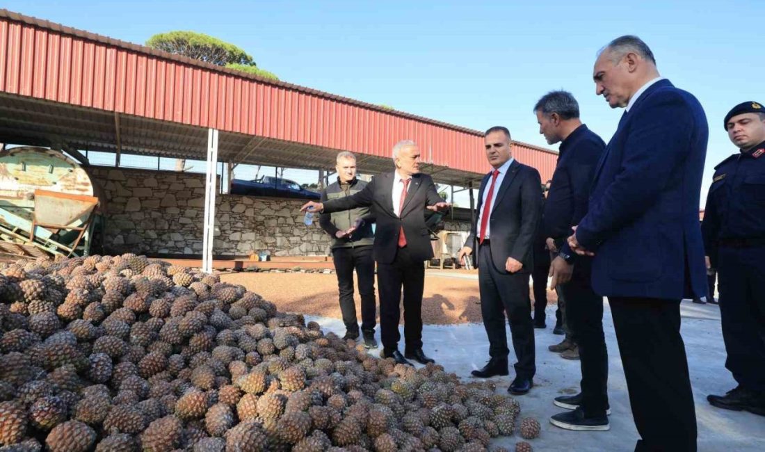 Muğla Valisi Dr. İdris Akbıyık, Yatağan ilçesine bağlı Katrancı Mahallesi’ni