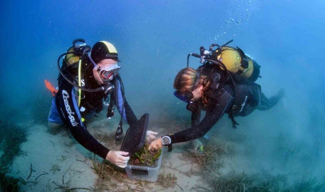 Antalya Mavi Akdeniz İnisiyatifi kapsamında, Antalya Valiliği ile Deniz Yaşamını