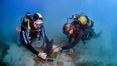 Antalya Mavi Akdeniz İnisiyatifi kapsamında, Antalya Valiliği ile Deniz Yaşamını