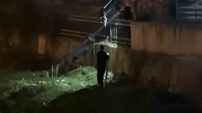 Düzce’de dereye düşen eşeği vinçle kurtarma çalışması yapılırken, eşek sahibini
