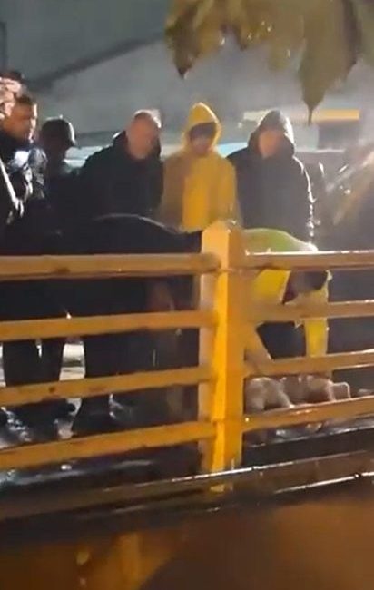 Yalova’nın Armutlu ilçesinde etkili olan sağanak yağışın durması için dere