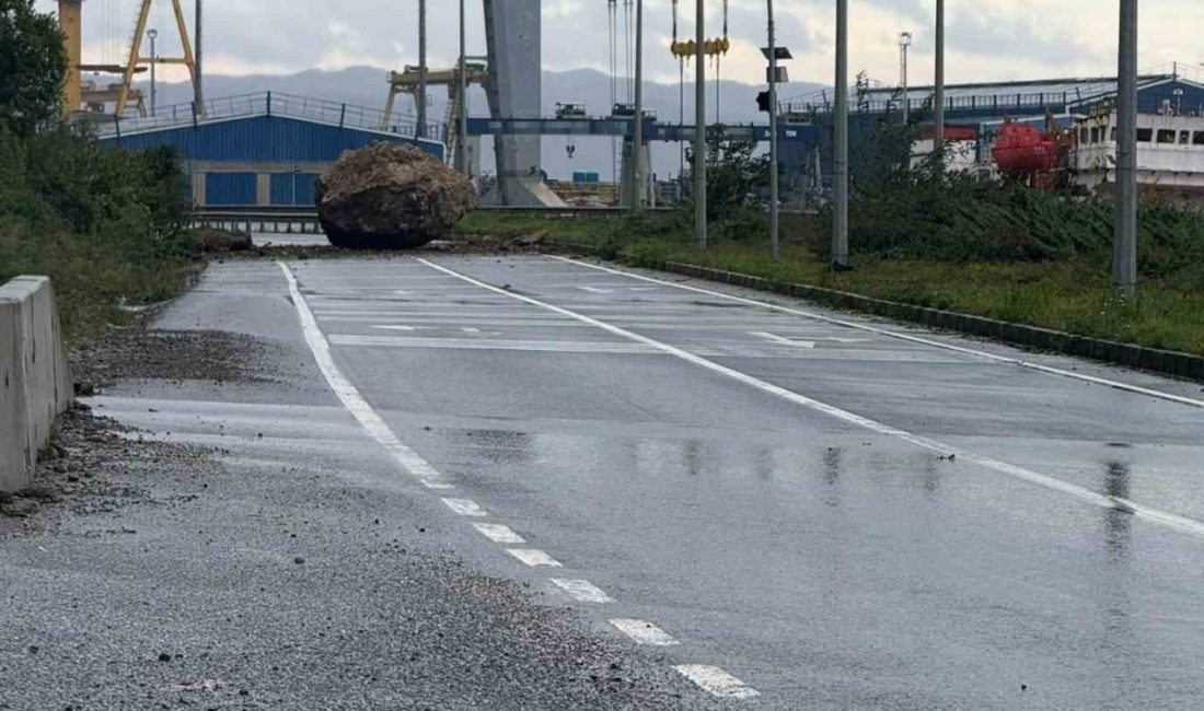 Zonguldak’ın Alaplı ile Karadeniz Ereğli ilçeleri arasındaki tersaneler bölgesinde dağdan